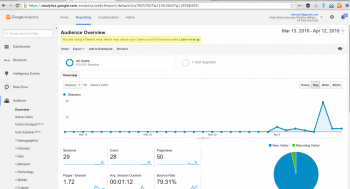 Google Analytics Audience